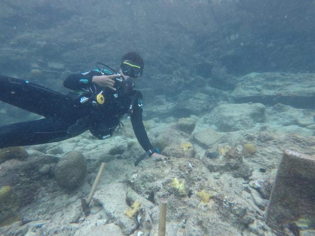 GOPR6459-1536x1152 Jong Bonaire student outplanting elkhorn corals at Buddy's Reef