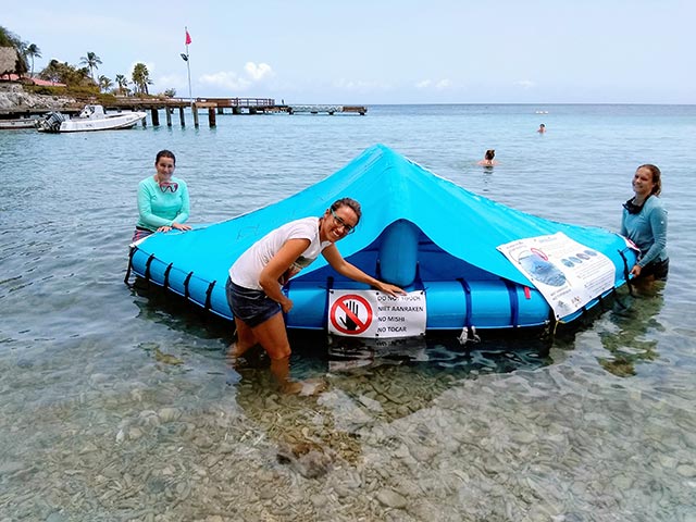 IMG_20190726_131327142 RRFB Project Coordinator, Francesca Virdis, launching a larval nursery pool during the workshop in Curacao.