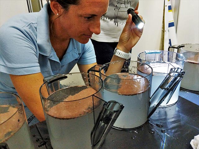 RRFB-Spawning-3-small RRFB Project Coordinator, Francesca Virdis, inspects the brain coral gametes as the fertilization process begins.