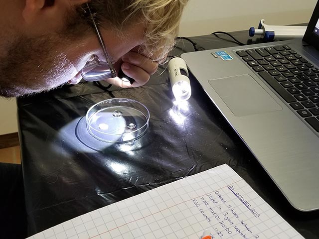 RRFB-Spawning-4-crop RRFB Assistant Coordinator, Garrett Fundakowski, estimates the number of eggs by counting a small sample. Photo credit: John MacDonald